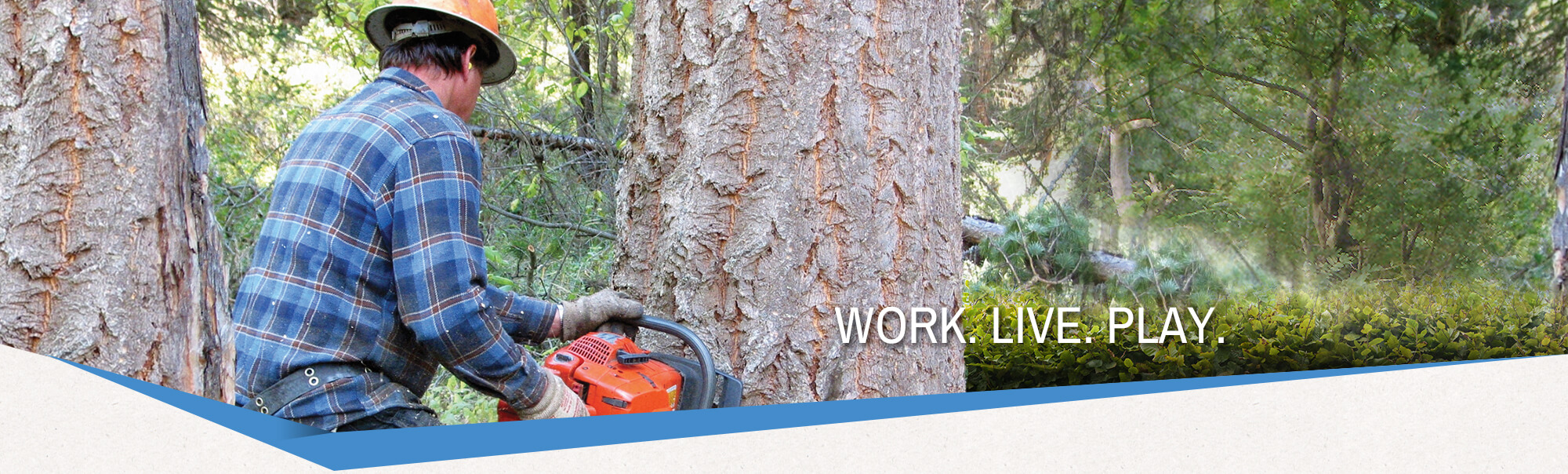 RecoveryZONE Physical Therapy